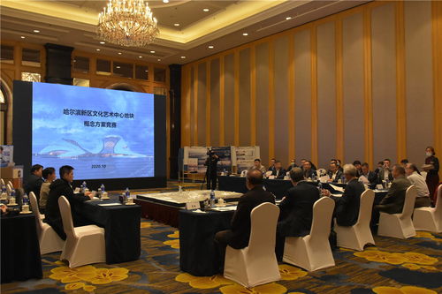 哈爾濱新區文化藝術中心項目建設邁出重要步伐 規劃設計招標圓滿完成，文化藝術交流活動蓄勢待發